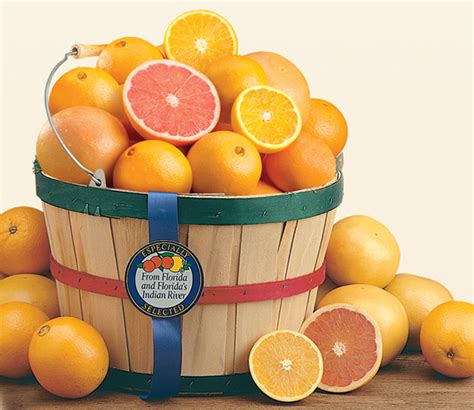Florida Ts Florida Citrus Two Peck Basket Oranges Grapefruit