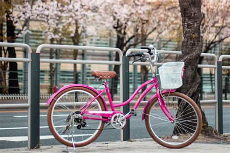 في اليوم العالمي لركوب الدراجة الهوائية فوائد مذهلة لاستخدام الدراجة