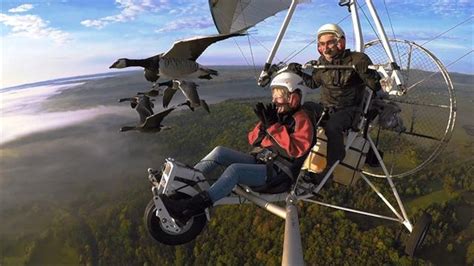 Stunning Video Shows A Man Flying With Birds Focusing On Wildlife