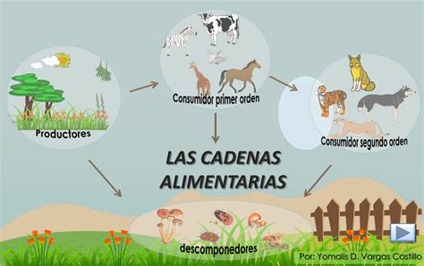 Las Cadenas Alimentarias