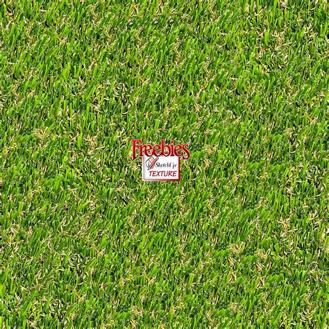 Royalty Gratis Dark Green Cutted Grass Texture Seamless In Addition To