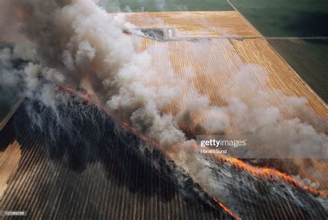 Aerial View Wheat Field Stubble Burn High Res Stock Photo Getty Images