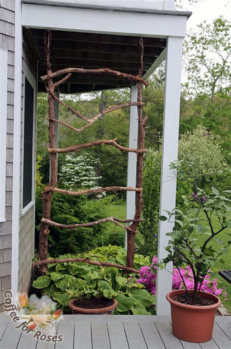 Whether you want a diy project that's cheap and easy or a full fence trellis, you'll find a detailed. 24 Best DIY Garden Trellis Projects (Ideas and Designs) for 2017