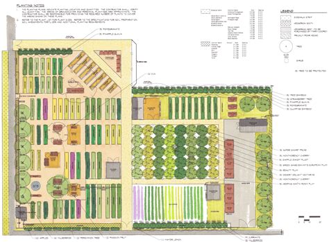 Treasure Island Job Corps Farm | BASE Landscape Architecture | Farm