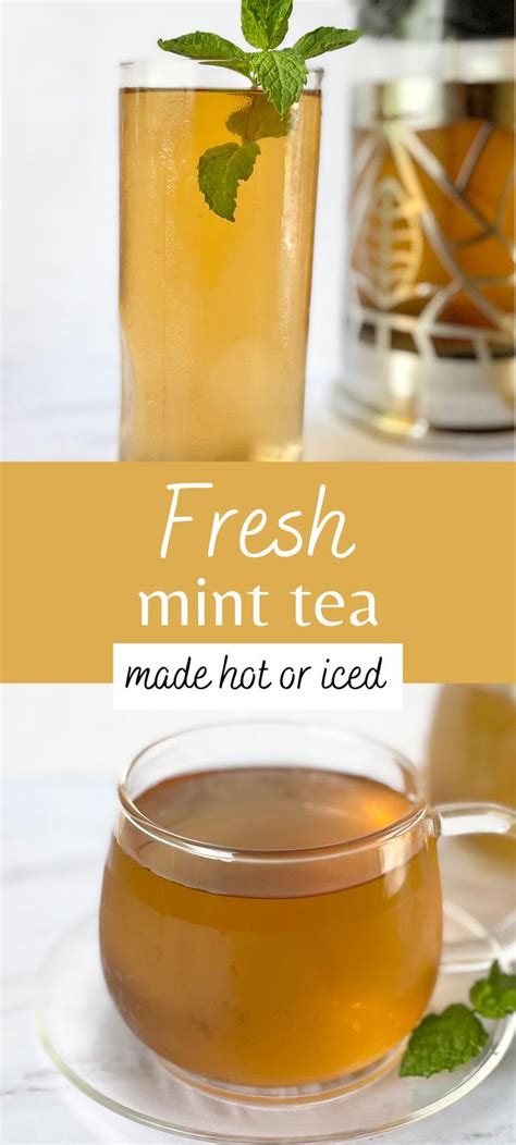The Best Mint Tea Made From Fresh Mint Leaves Whether You Decide To