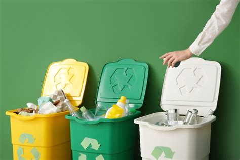 Waste Management Solutions Paving the Way to a Greener Future