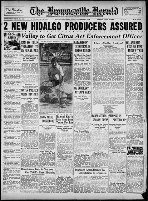 Brownsville Texas Public Records - Nat Laurie