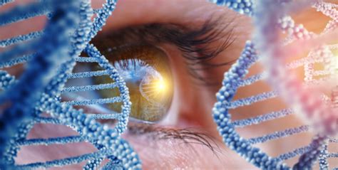 Genetic Eye Disease Moorfields Eye Hospitals Uae