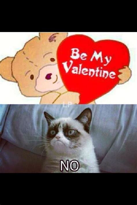 Grumpy Cat Valentines Day Pics Grumpy Cat Valentine S Day P Grumpy Cat Valentines Grumpy
