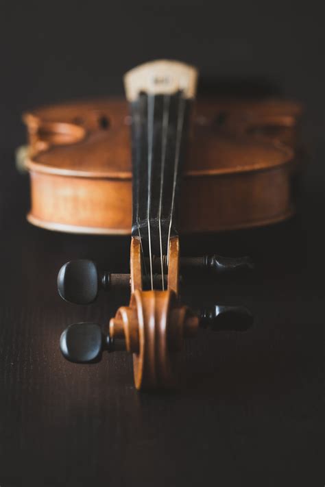 Free Violin Vertical Image Browse 1000s Of Pics