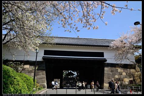 Maybe you would like to learn more about one of these? 特愛日本 瘋旅行: 2012 東京．關東 景點 靖國神社、 田安門 (櫻名所) - 櫻花瓣飛舞下的神社