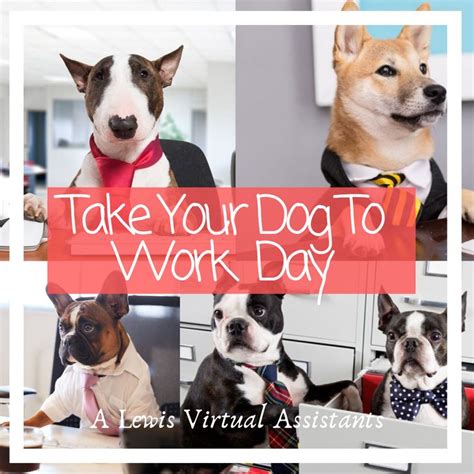 National Take Your Dog To Work Day Its National Take Your Dog To Work