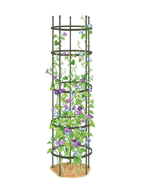 Our collection of garden plant supports includes simple fixes such as ties and grips, to ornate solutions including growthroughs and classical obelisks. Titan Garden Obelisk 7.5' | Gardener's Supply in 2020 ...