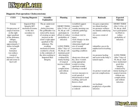 Nanda Nursing Diagnosis List Infection