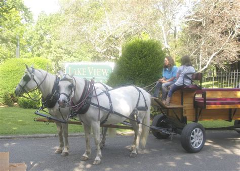 Related:horse drawn buggy carriage horse drawn wagon horse drawn buggy horse drawn carriage wagon horse drawn sleigh horse drawn carriage parts antique horse drawn antique french opaline barrel & cups, horse drawn carriage 9 long, palais royal. Horse-Drawn Carriage Is Part Of Cemetery Excursion | News ...