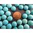 12x6mm Natural Turquoise Gemstone Cabochon Dyed Dome 