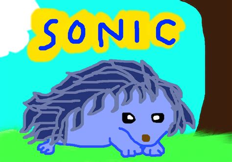 Sonic The Real Hedgehog By Aura The Echidna On Deviantart