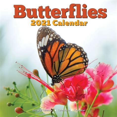 Butterflies 2021 Wall Calendar Lover Ts Paperback
