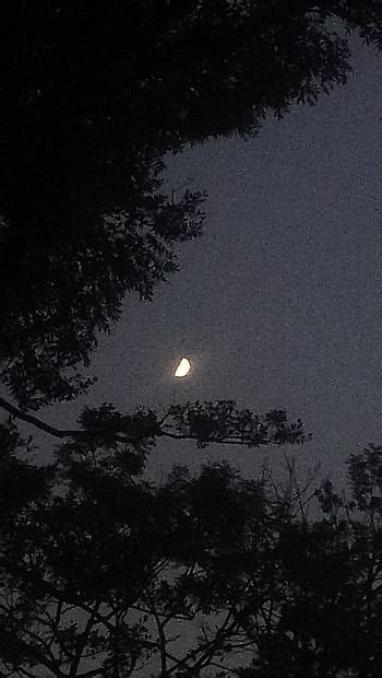 Crescent Moon In The Night Sky Purple Aesthetic Night Sky Hd Phone