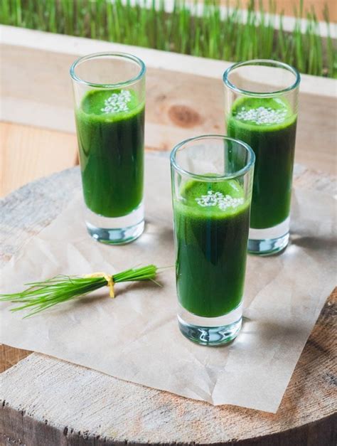 A Guide To Wheatgrass — How To Use The Superfood
