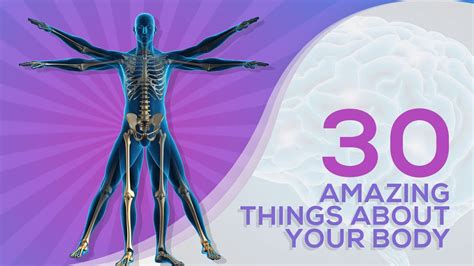 30 amazing things you didn t know about your body youtube