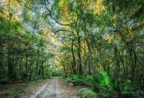Alachua Conservation Trust — ACT In the News