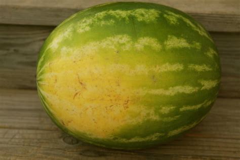 You should look for two key ripeness clues when selecting a whole watermelon. How to Pick a Watermelon