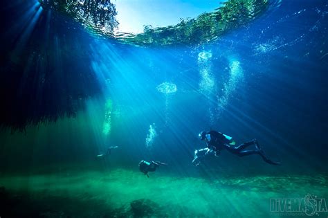 Dive (american football), a type of play in american football. Discover Scuba Diving in cenote Casa - Diversland