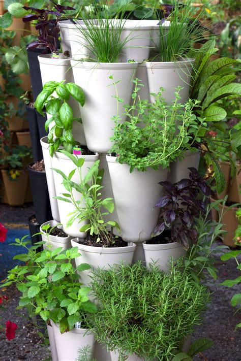 Herbs We Love To Grow Vertically Greenstalk Vertical Garden Growing