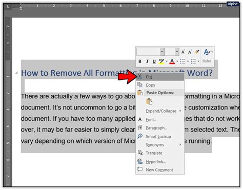 How To Clear Formatting In Word 2010