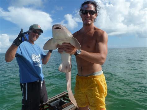Assess the universal process of developing scientific knowledge. J.N. Roth Marine Biology Station | Facilities | Goshen College