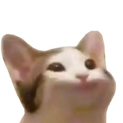 Popcat Meme  Bop Cat Meme Pngcat Meme Icon Free Transparent Png