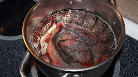 All london areas and kent & essex borders; En serio, no se coman su placenta - VICE