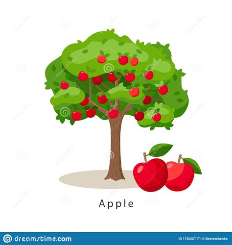 Apple Tree Vector Illustration In Flat Design Isolated On White Background, Farming Concept ...