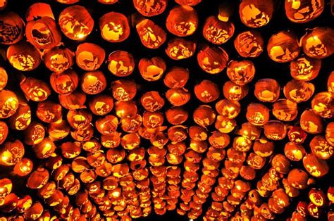 Pumpkin Ceiling At A Pavilion In The Hudson Valley Great Jack O Lantern