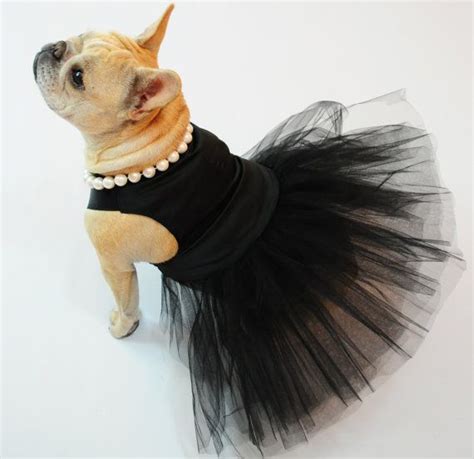 New and used items, cars, real estate, jobs, services we have a litter of beautiful french bulldog puppies, males and females available and ready to go. French Bulldog Princess modeling 'The Little Black Dress ...