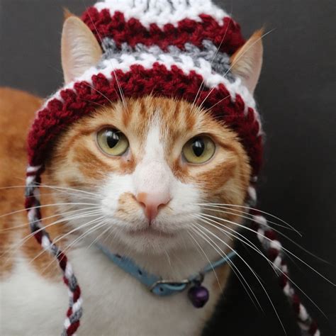 Burgundy And Gray Striped Beanie Hats For Cats Pawsomecrochet