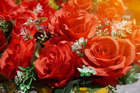 Closeup Red Rose Flowers And White Flowers Bouquet Background Nature