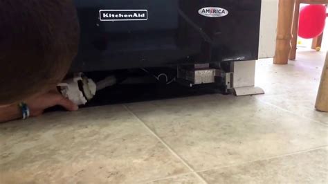 How to dismantle the inside of your kitchenaid dishwasher in order to clean out the drain filter and chopper and dislodge crud that may be causing a water. How to fix a kitchen aid dishwasher that isn't draining ...