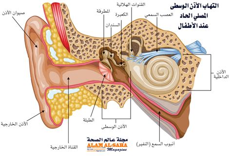 التهاب الاذن الوسطى المصلي