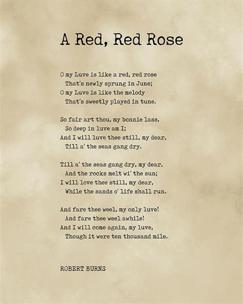 A Red Red Rose Robert Burns Poem Literature Typewriter Print 1