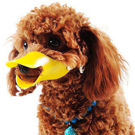 Dog Anti Bite Duck Mouth Shape Dog Mouth Cover Silicone Biteproof Pet
