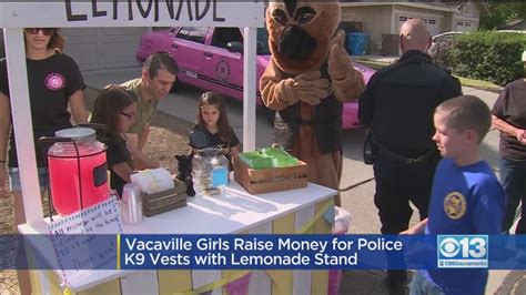 vacaville girls open lemonade stand to raise money for police k9 vests youtube