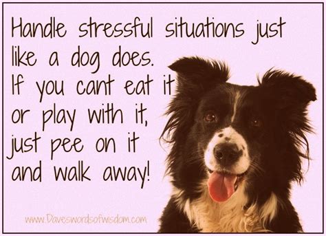 Which one of the word is correct between acts, pretends, and imitates? Daveswordsofwisdom.com: Handle Stress Like A Dog...