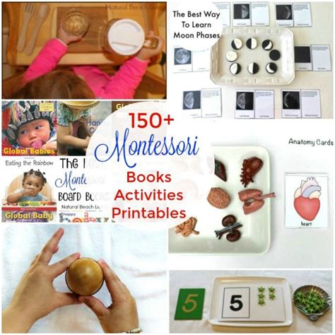 25 Montessori Science Activities And Experiments For Kids Natural