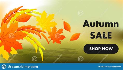 Autumn Sale Yellow Fall Leaves Background Colorful