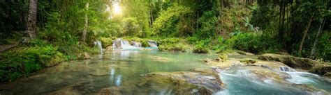Deep Forest Waterfall National Park Panoramic View Stock Image Image