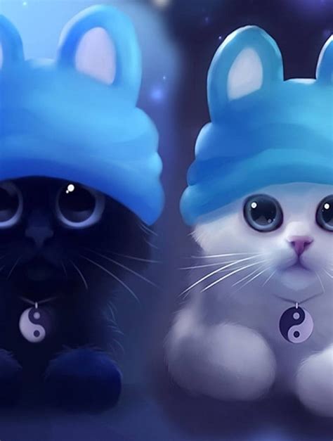 White Black Cute Kittens Resolution Animals And Background Cute