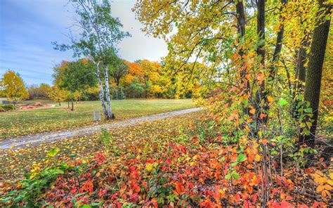 Download Wallpaper 2560x1600 Autumn Trees Footpath Forest Widescreen