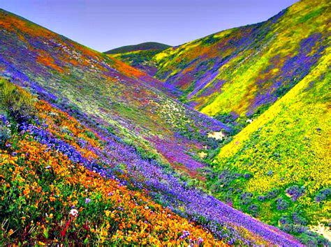 Valley Of Flowers National Park West Himalaya This Looks Like Heaven